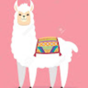 Meet your Posher, Meghan